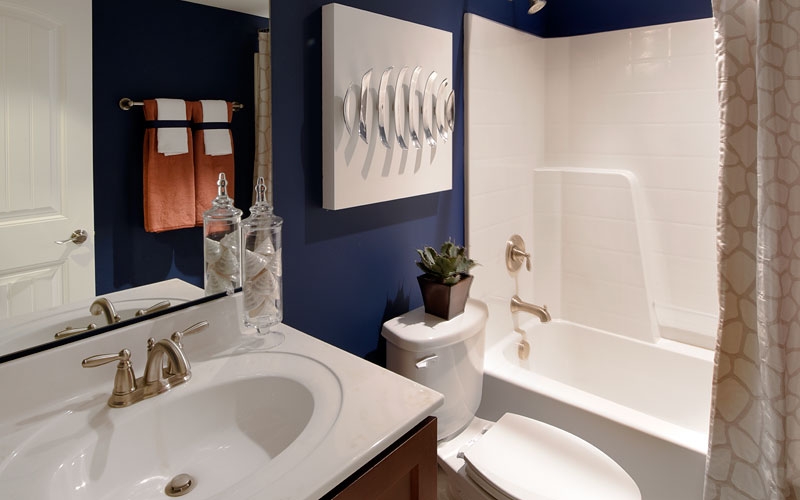 Dalton model bath
